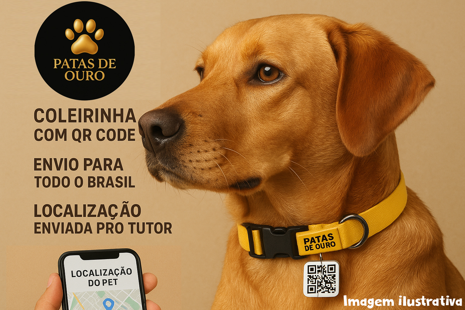 Cachorro com medalha de rastreamento